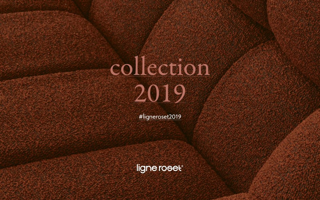 NEW COLLECTION 2019